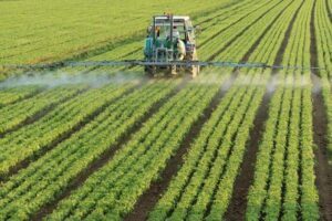 Fertilizers _ Pesticides Industry